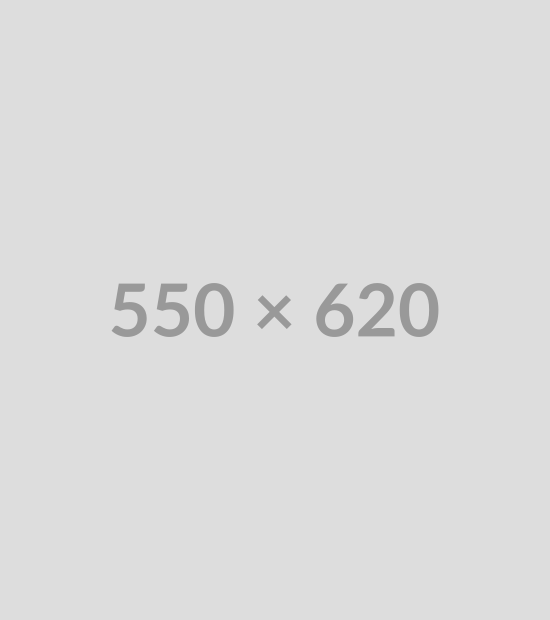 550x620