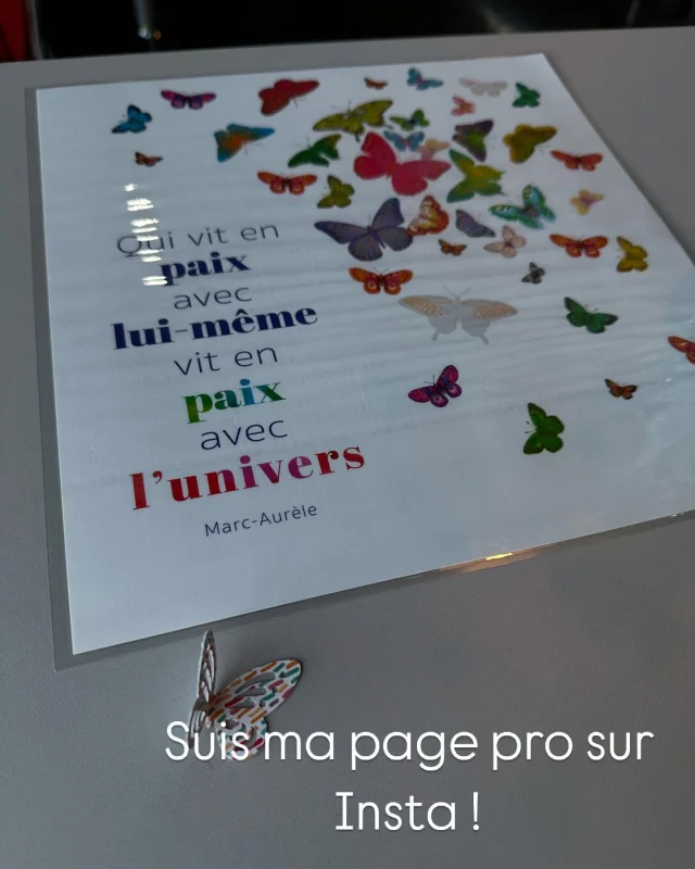 Publication 18500146162006777 Instagram